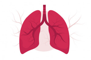 Paru-Paru Kita, Tempat Sampah Mereka
