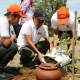 Menko PMK Pratikno penanaman pohon