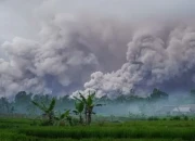 Lindungi Warga, Status Darurat Erupsi Semeru Diperpanjang hingga Awal Desember