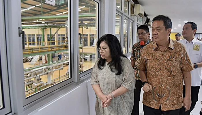 Panja DPR Nilai Indofood Contoh Industri Global: Bantah Isu Negatif Mi Instan