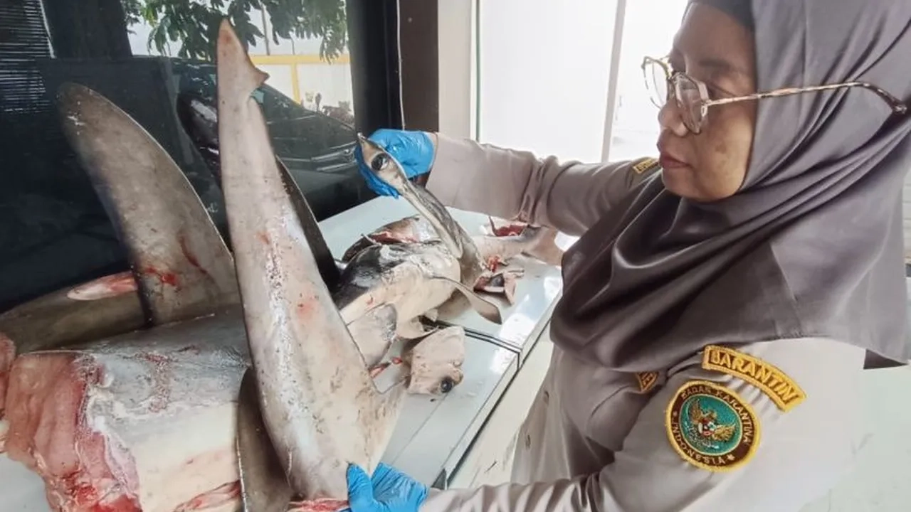 Karantina Pelabuhan Ketapang Banyuwangi