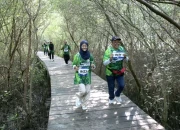 Kebun Raya Mangrove Surabaya Jadi Magnet Ekowisata, Kunjungan Tembus 86 Ribu Orang