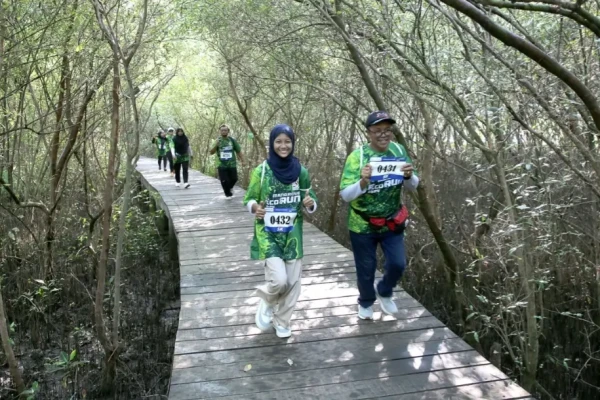 Kebun Raya Mangrove Surabaya Jadi Magnet Ekowisata, Kunjungan Tembus 86 Ribu Orang
