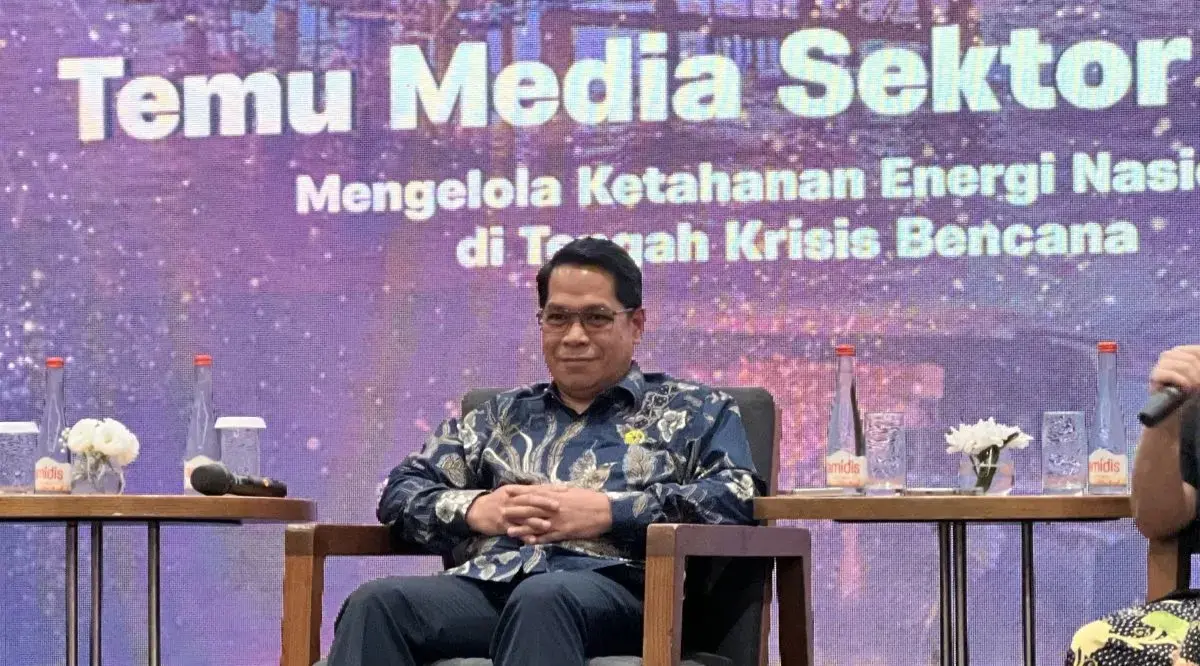 Temu media