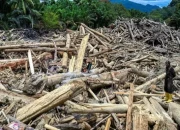 KLH Gugat Enam Perusahaan Triliunan Rupiah Terkait Bencana di Sumatra