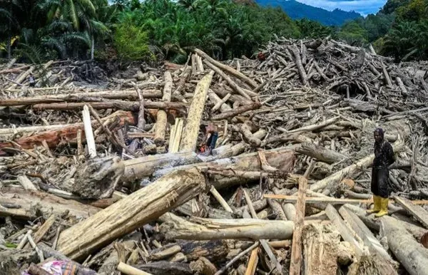 KLH Gugat Enam Perusahaan Triliunan Rupiah Terkait Bencana di Sumatra