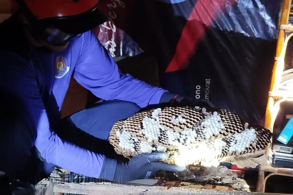 Rekapitulasi 2025: Damkar Ponorogo Tangani 539 Aksi Penyelamatan Non-Kebakaran