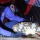 Damkar Ponorogo berhasil evakuasi sarang lebah