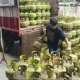 Ilustrasi Elpiji 3 kg