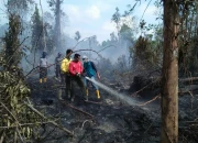 BNPB Siaga Karhutla di Aceh, Riau, dan Kalteng Meski Masih Musim Hujan