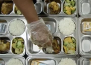 Implementasi Program Makan Bergizi Gratis Harus Selaras dengan Kelestarian Lingkungan
