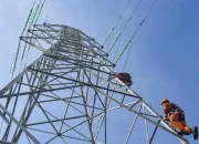 Pemerintah Pastikan Tarif Listrik Non-Subsidi Tidak Naik di Awal 2026