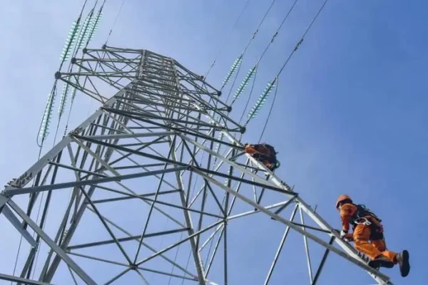 Pemerintah Pastikan Tarif Listrik Non-Subsidi Tidak Naik di Awal 2026