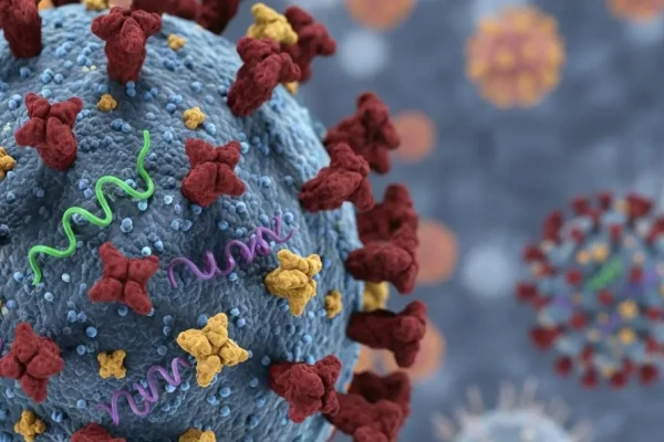 Kemenkes Tegaskan Situasi Influenza A H3N2 Subclade K di Indonesia Terkendali dan Tidak Lebih Parah