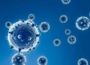 Ilustrasi virus influenza