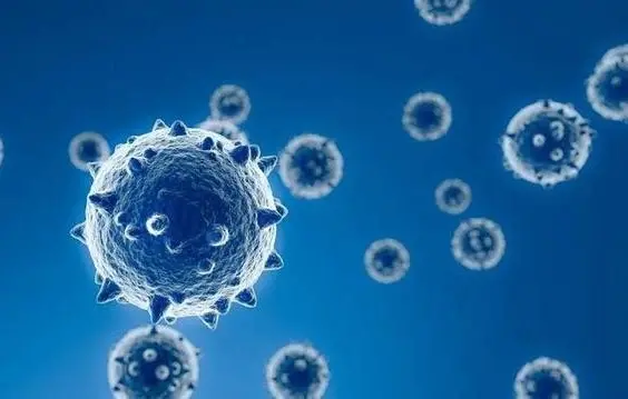 Ilustrasi virus influenza