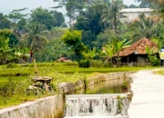 Rehabilitasi Irigasi Jadi Kunci Utama Akselerasi Swasembada Beras Nasional