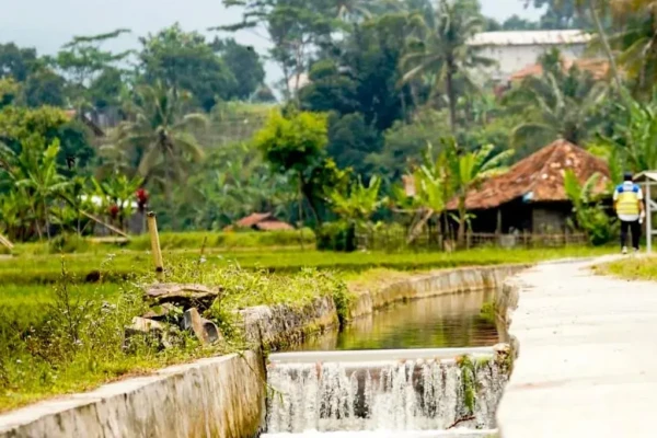 Rehabilitasi Irigasi Jadi Kunci Utama Akselerasi Swasembada Beras Nasional