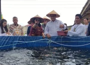 Wamentrans Fokus Kembangkan Kawasan Transmigrasi Menjadi Pusat Ekonomi Baru dan Mandiri Pangan