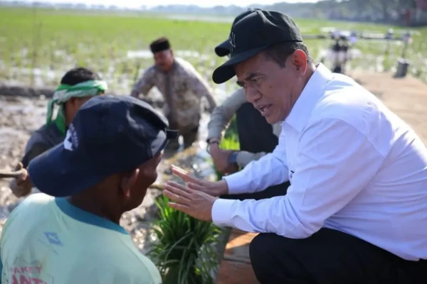 Pulihkan Sawah Terdampak Bencana di Sumatera, Pemerintah Gaji Petani Lewat Skema Padat Karya