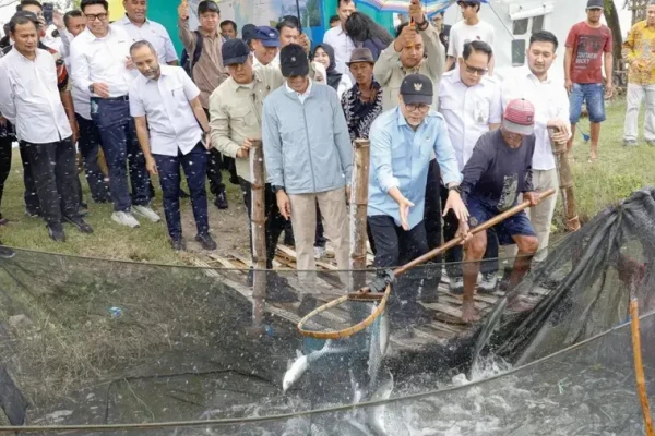 Menko Pangan Tinjau Kampung Bandeng Gresik, Targetkan Perluasan 20 Ribu Hektare Tambak Nasional
