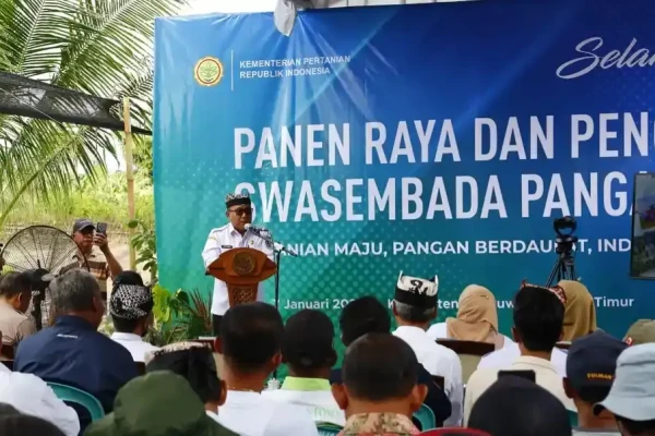 Banyuwangi Perkuat Lumbung Pangan Nasional dengan Surplus Beras dan Jagung Signifikan