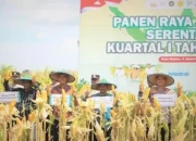 Pemkot Madiun Uji Coba Jagung Varietas Multi Tongkol Perkuat Ketahanan Pangan