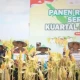 Panen raya jagung