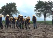 Lapas Porong Sulap Lahan Tidur 25 Tahun Menjadi Sarana Edukasi dan Ketahanan Pangan