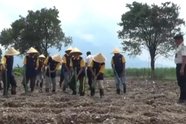 Lapas Porong Sulap Lahan Tidur 25 Tahun Menjadi Sarana Edukasi dan Ketahanan Pangan