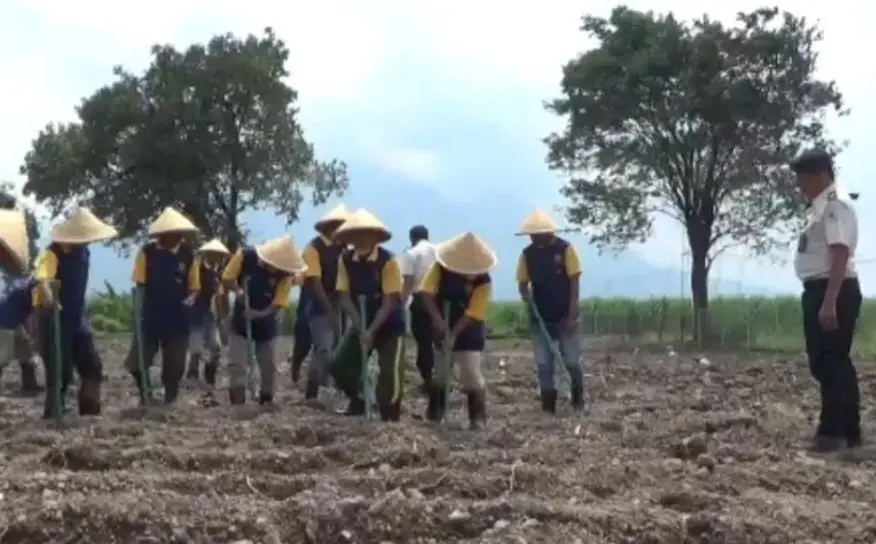 Pengelolaan lahan tidur