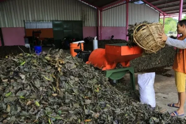 Surabaya Hemat Miliaran Rupiah Berkat Pengolahan Sampah Organik Menjadi Kompos