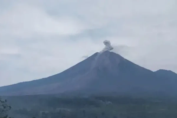 Gunung Semeru Erupsi Empat Kali Kamis Pagi dengan Kolom Abu Setinggi 700 Meter
