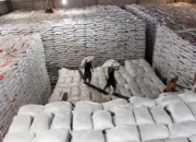 Optimalkan Stok Beras, Bulog Gandeng Karang Taruna Perkuat Tim Jemput Gabah