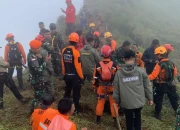 Timsar temukan puing pesawat jatuh