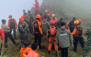 Timsar temukan puing pesawat jatuh