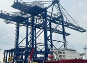 Modernisasi Pelabuhan: Pelindo Siapkan Puluhan Alat Bongkar Muat Baru di Sejumlah Terminal Utama