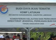 Pemkab Lamongan Genjot Produksi Lele Guna Sokong Program Makan Bergizi Gratis