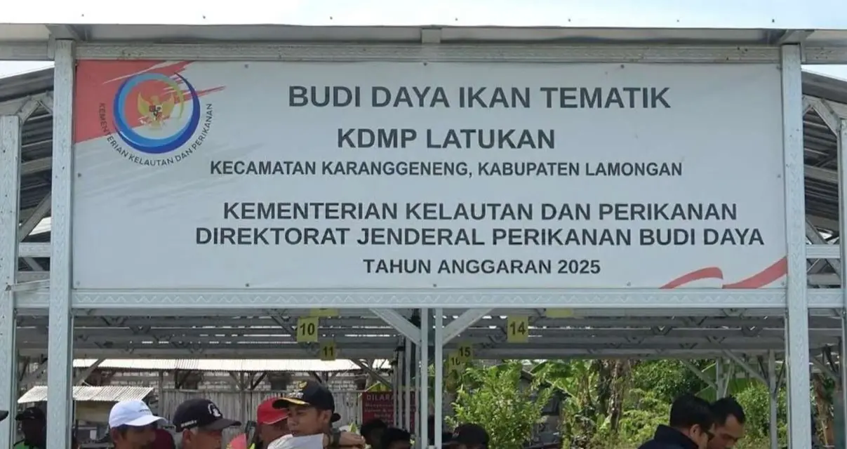Budidaya Ikan Lele
