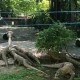 Feeding time