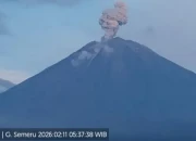 Gunung Semeru Meletus Lima Kali dalam Semalam dengan Tinggi Letusan Mencapai Satu Kilometer