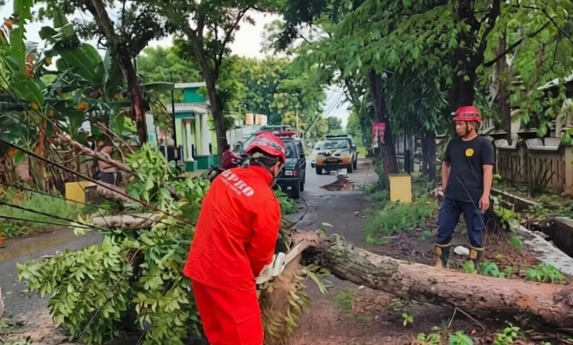 Ilustrasi pohon tumbang