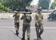 Satpol PP Surabaya Cabut 18 Tiang Fiber Optik Ilegal di Kawasan Panjang Jiwo