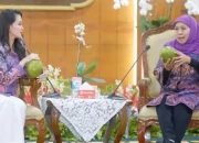Sinergi Jawa Timur dan Maluku Utara: Khofifah dan Sherly Laos Perkuat SPBE hingga Manajemen ASN