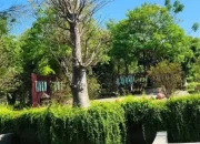 Pemkot Madiun Kucurkan Rp400 Juta untuk Percantik Taman Hutan Kota Patihan