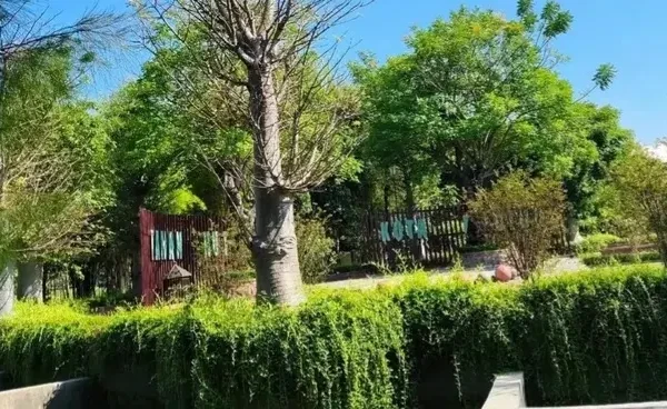 Pemkot Madiun Kucurkan Rp400 Juta untuk Percantik Taman Hutan Kota Patihan
