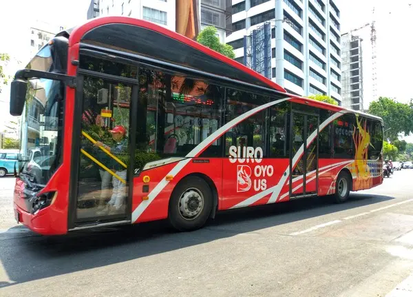 Bus Suro Boyo