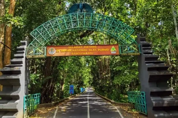 Penutupan Sementara Wisata Alas Purwo Selama Libur Lebaran 2026
