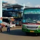 Ilustrasi bus mudik