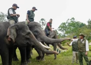 Libur Lebaran dan Nyepi 2026, Sejumlah Taman Nasional dan TWA Ditutup Sementara